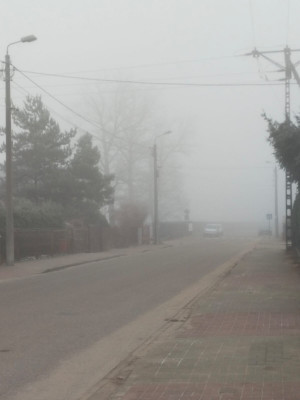 mgła.jpeg