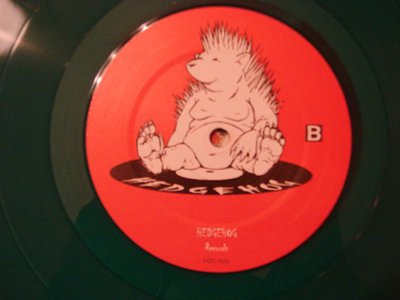 Hedgehog Records.JPG