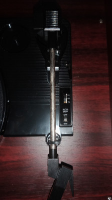 IMG_20220122_103926.jpg