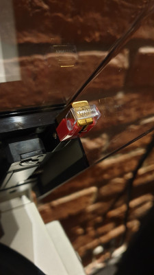 20220124_143054.jpg