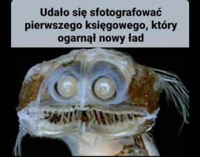 PŁ księgowy.jpeg