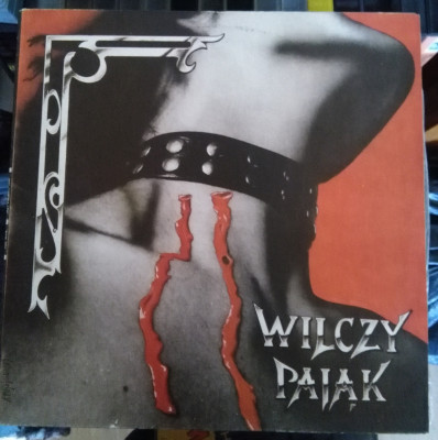 Wilczy Pajak.jpg