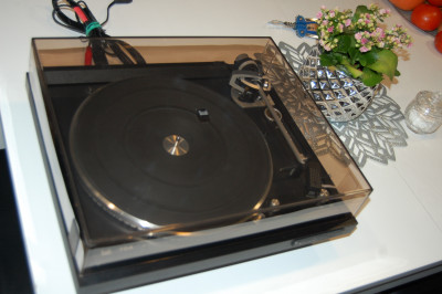 DSC_1015.JPG