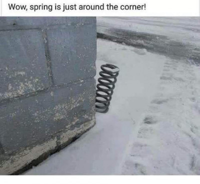 spring.jpg