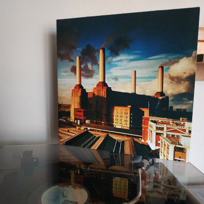 Pink Floyd - Animals_now.jpg