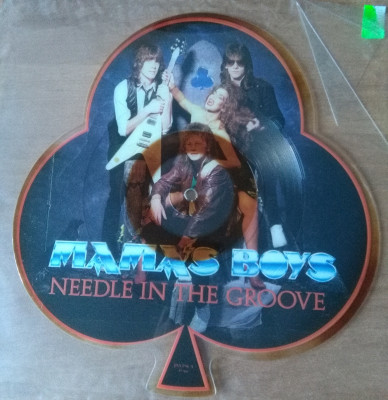 Mama's Boys Needle In The Groove.jpg