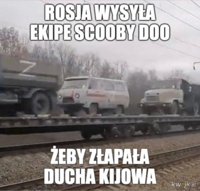 lNdwKvWf1pifpYCE.jpg