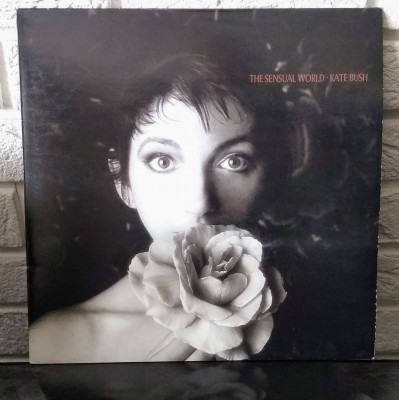 Kate Bush TSW.jpg