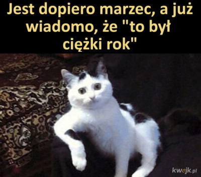 MwotdgUnPDgAvbOA.jpg
