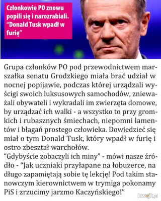 MNkzbMCWpBJtU5vm.jpg