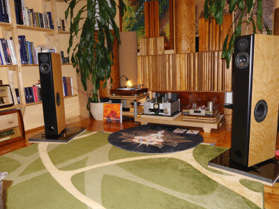 system2.gif