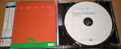 mkwaju ensemble - mkwaju.jpg