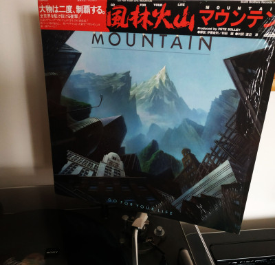 Mountain-Go-For-Your-Life.jpg