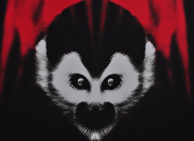 deadmonkey2.jpg