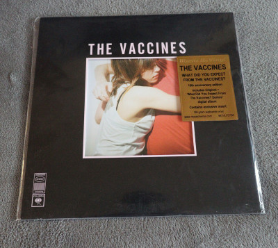 The Vaccines - What Did You Expect from The Vaccines front.jpg