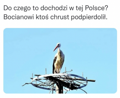 Greenshot 2022-07-21 19.49.04.png