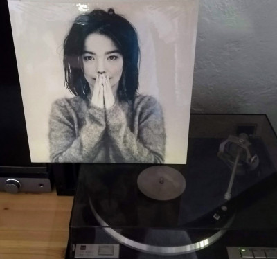 Björk Debut.jpg