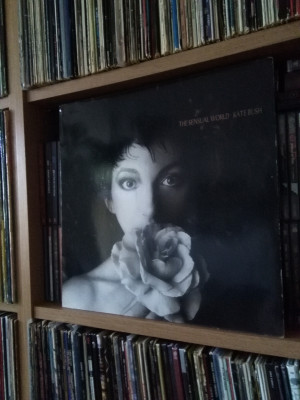 Kate Bush The Sensual World.jpg