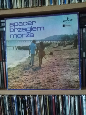 Spacer brzegiem morza.jpg