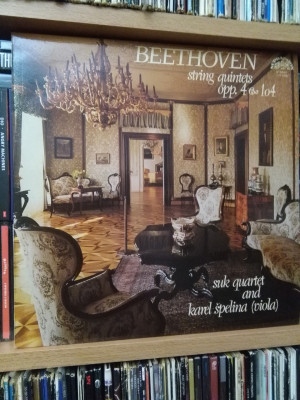 Suk Quartet Beethoven.jpg