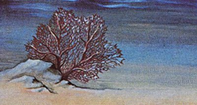 cover1.JPG