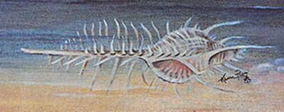 cover2.JPG