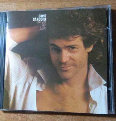 David Sanborn Straight To The Heart.jpg