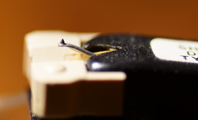 059D6029-D3AC-482A-9488-D091F2B28C2D.jpeg