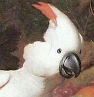 Zagadka 1.jpg