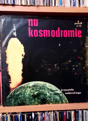 Sadowski Na kosmodromie.jpg