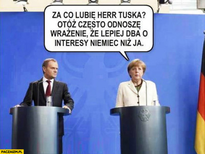 za-co-lubie-herr-tuska-otoz-czesto-odnosze-wrazenie-ze-lepiej-dba-o-interesy-niemiec-niz-ja-angela-merkel.jpg