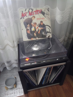 Mr Mister.jpg