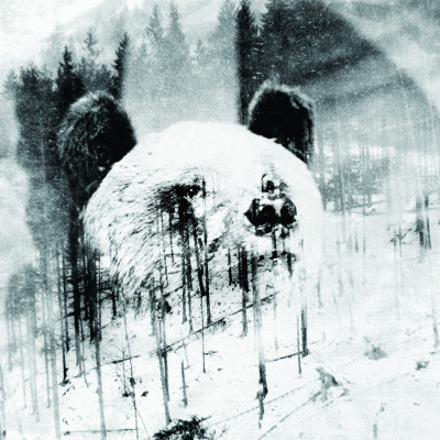 niechęć-unsubscribe-2lp-limit-.jpg