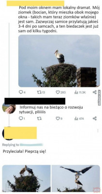 U1myGYNSLegjXSklTchRjCDRNxmiwDzF.jpg