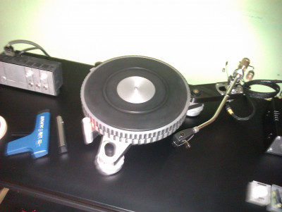 IMAG0273.jpg