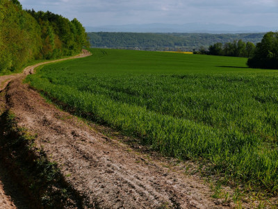 P1050676.JPG