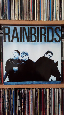 Rainbirds.jpg
