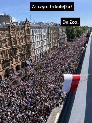 zoo.jpg