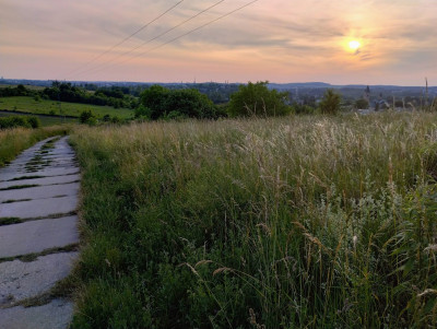 IMG_20230619_200925501_HDR~2.jpg