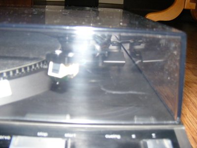 DSCF0684 (Large).JPG