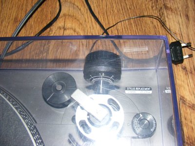 DSCF0686 (Large).JPG