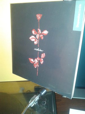 20151027_121650.jpg