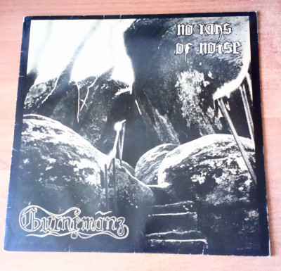 Gurnemanz - No Rays Of Noise.jpg
