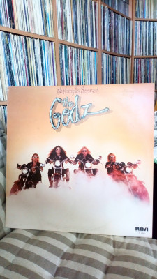 The Godz Nothing Is Sacred.jpg