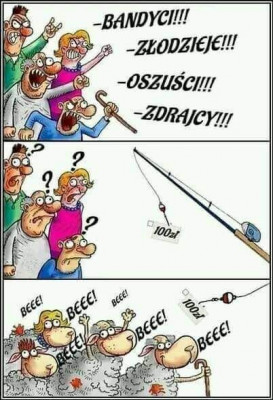 pis.jpg