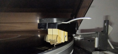 DL301.jpg