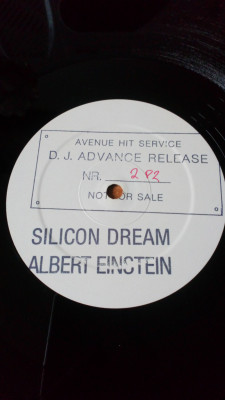 Silicon Dream 12 A.jpg