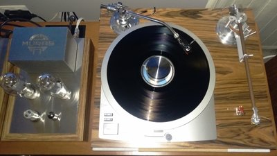 IMAG0603 (800x450).jpg