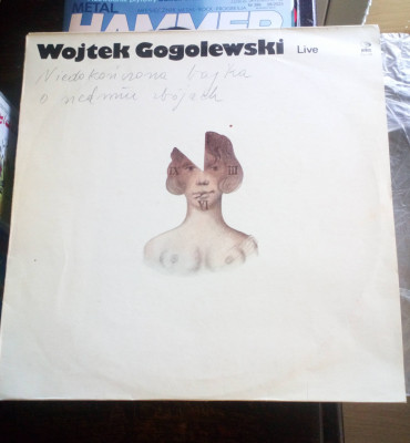Wojtek Gogolewski Live. Niedokończona bajka o siedmiu zbójach.jpg