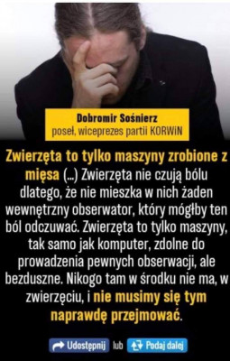 sośnierz.jpg
